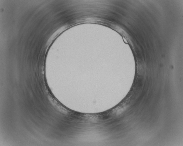 X0000062610954200601181626