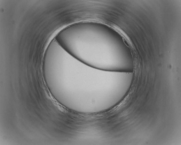 X0000062610956200601181626