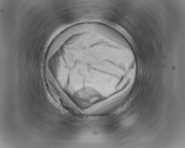 X0000062610958200601181626