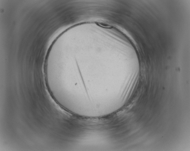 X0000062610959200601181626