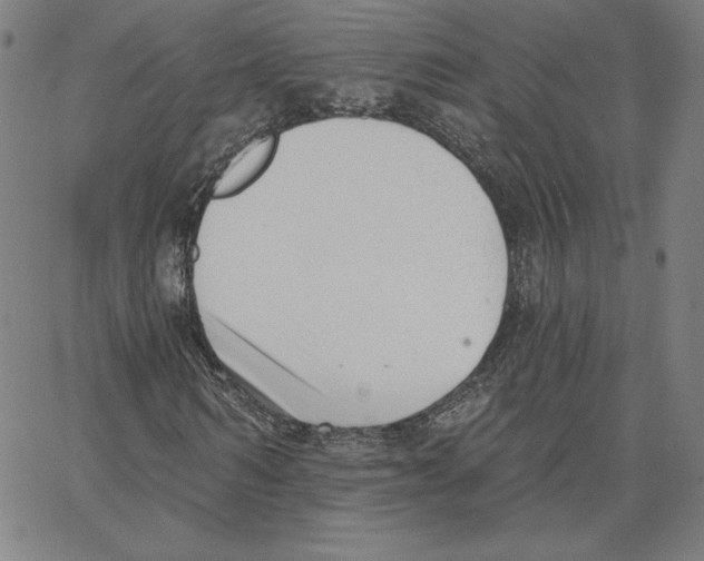 X0000062610962200601181625