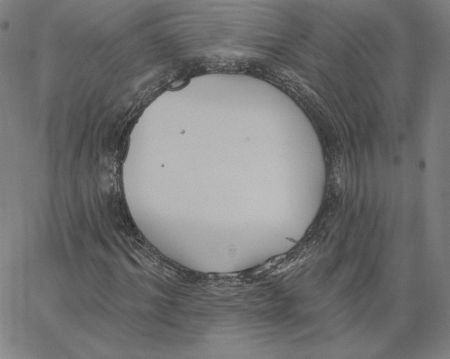 X0000062610964200601181625