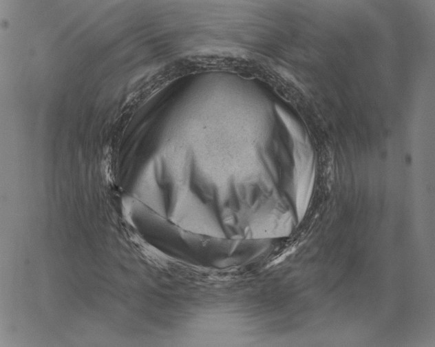 X0000062610965200601181625