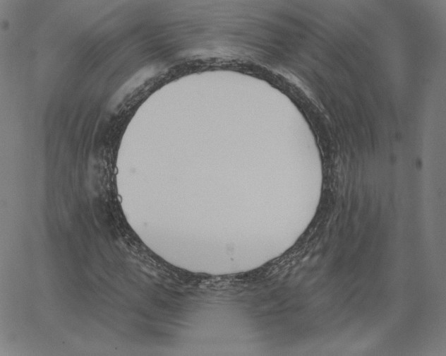 X0000062610967200601181625