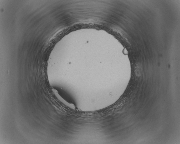 X0000062610968200601181625