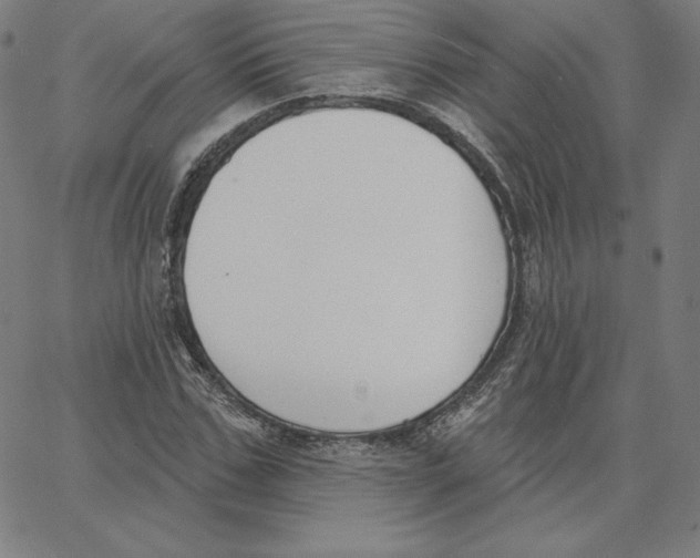 X0000062610971200601181625