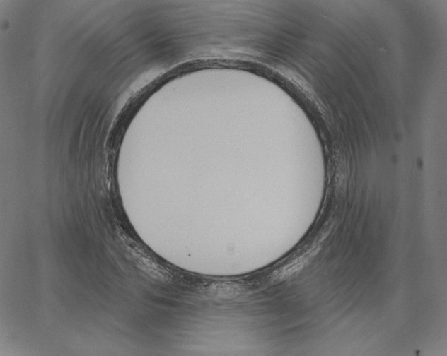 X0000062610974200601181625