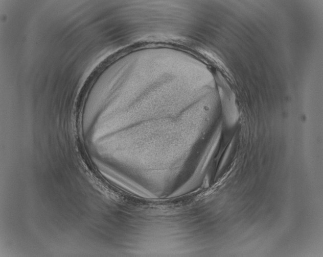 X0000062610976200601181625