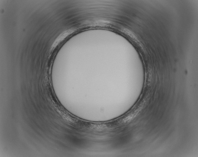 X0000062610978200601181625