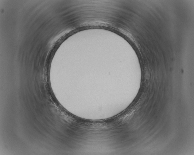 X0000062610979200601181625