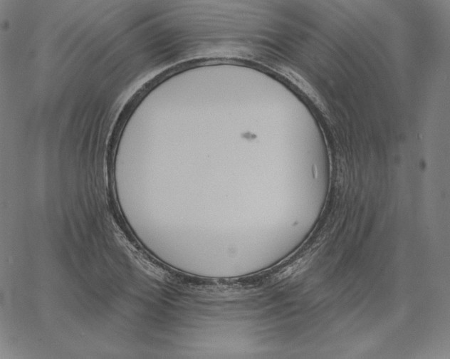 X0000062610980200601181625