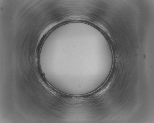 X0000062610981200601181625