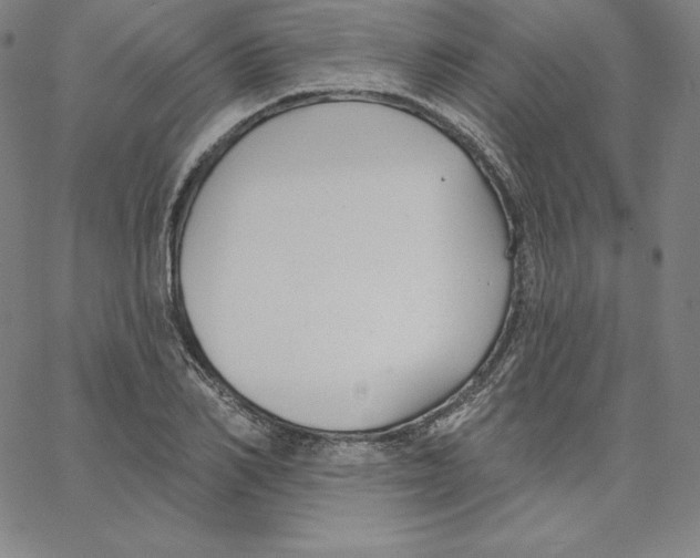 X0000062610982200601181625