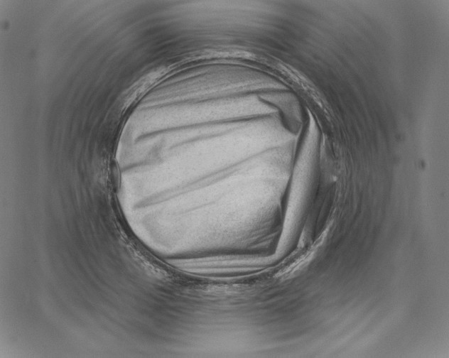 X0000062610985200601181625