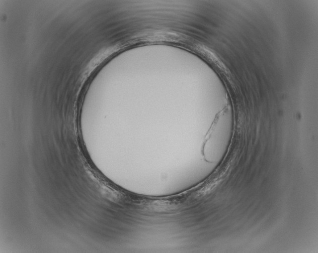 X0000062610986200601181625