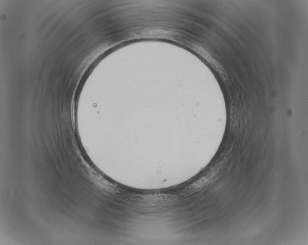 X0000062610988200601181625