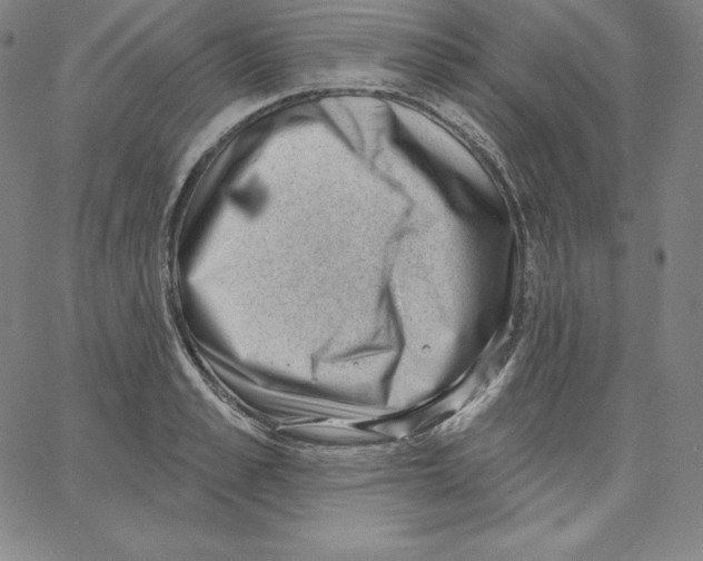 X0000062610989200601181625