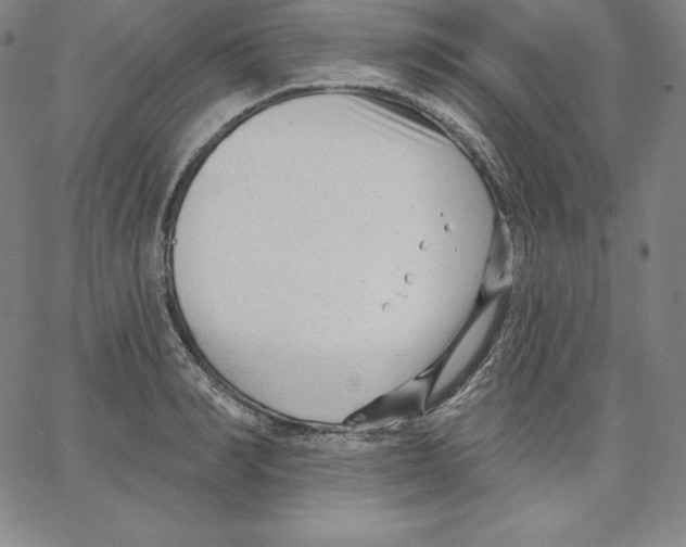 X0000062610990200601181625