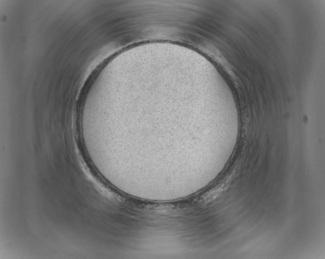 X0000062610991200601181625