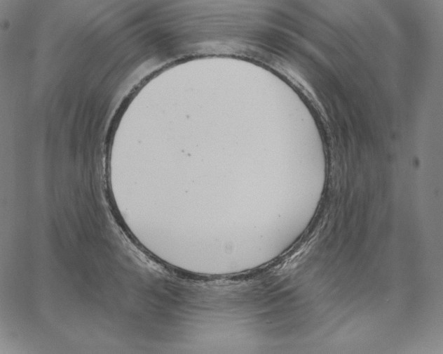 X0000062610992200601181625