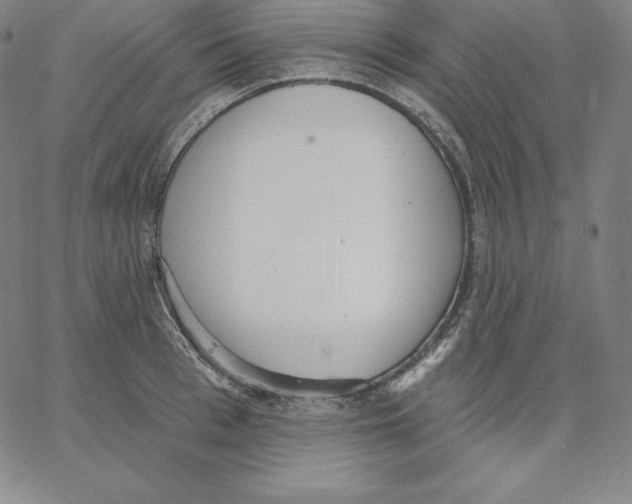 X0000062610993200601181625