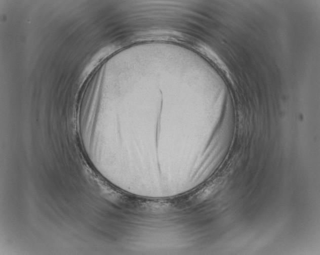 X0000062610994200601181625