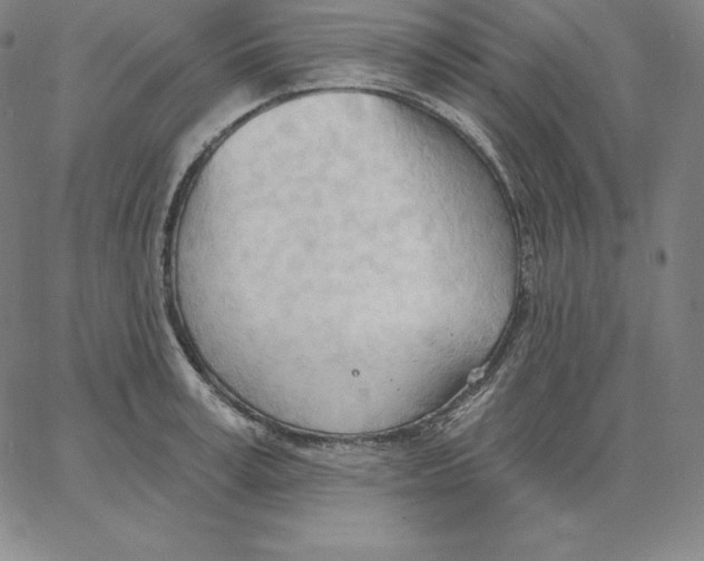 X0000062610995200601181625