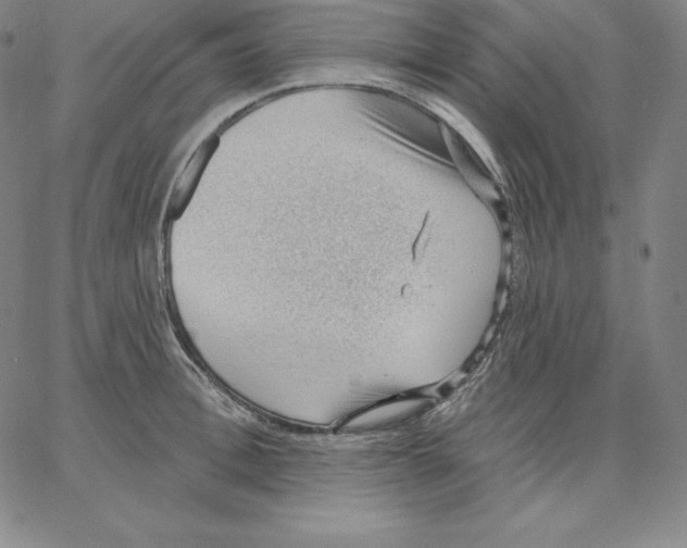 X0000062610996200601181625