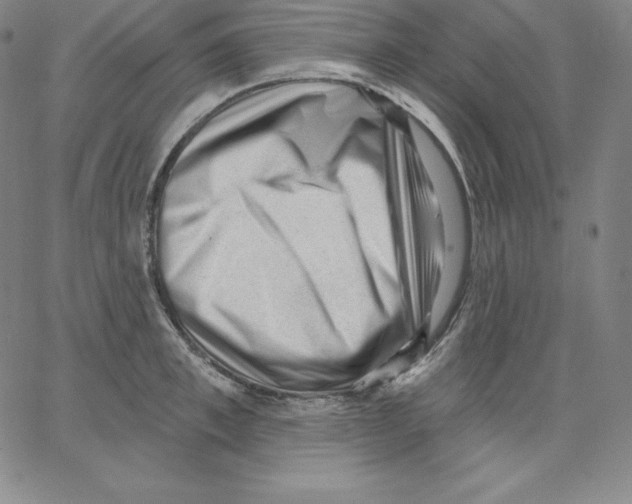 X0000062610997200601181625