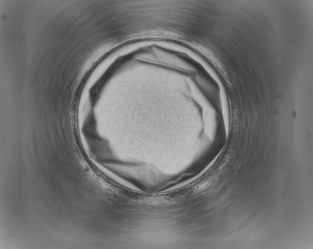 X0000062610998200601181625