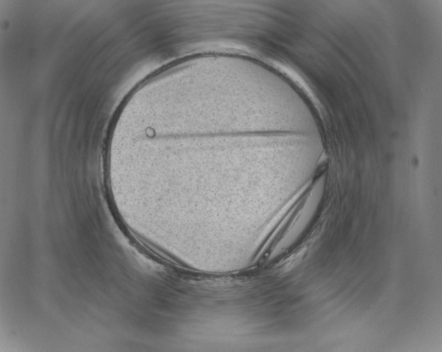 X0000062610999200601181625