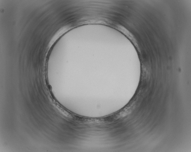 X0000062611002200601181625