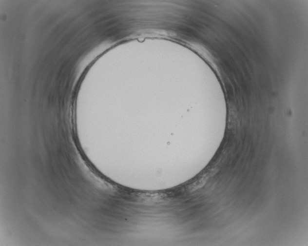 X0000062611003200601181625