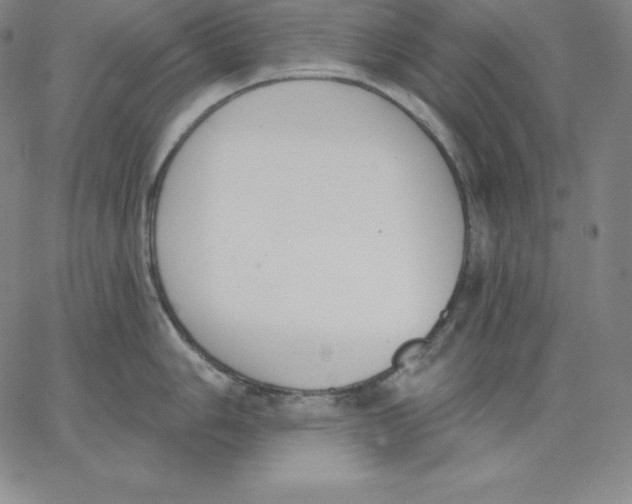 X0000062611006200601181625