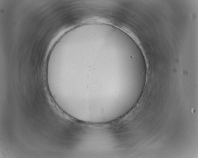 X0000062611008200601181625