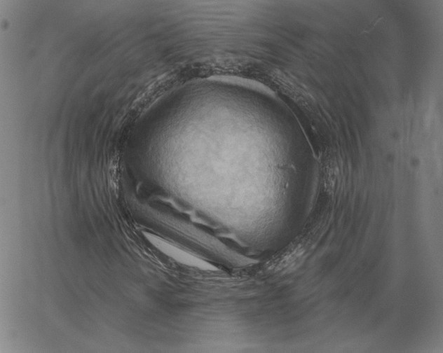 X0000062611010200601181624