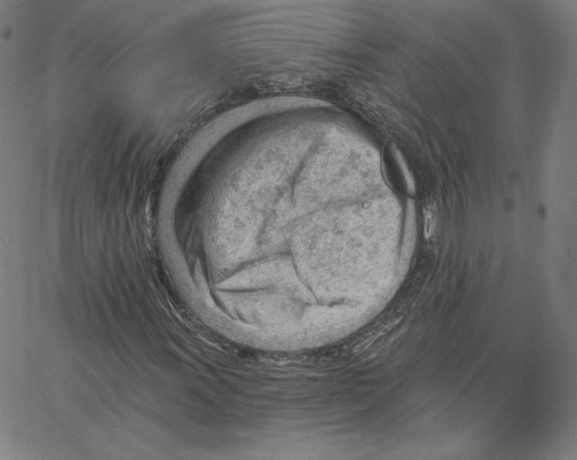 X0000062611011200601181624