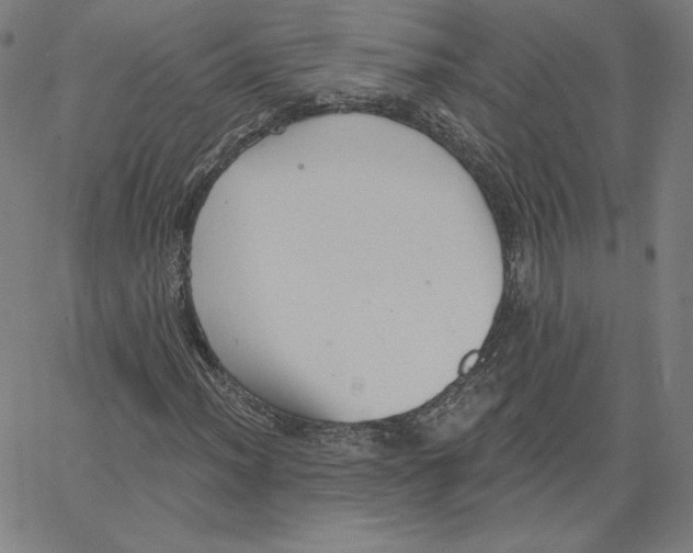 X0000062611012200601181624