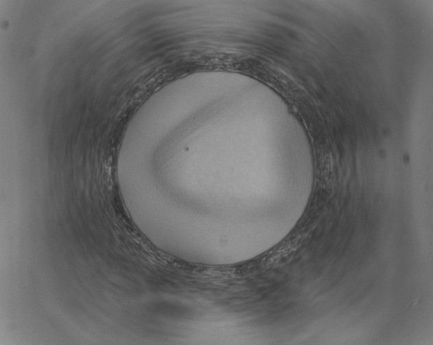 X0000062611013200601181624