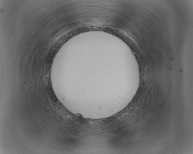 X0000062611015200601181624