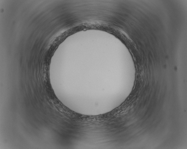 X0000062611016200601181624