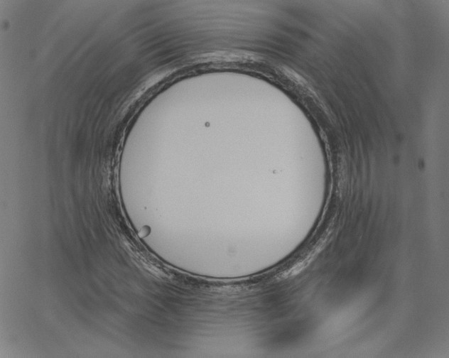 X0000062611017200601181624