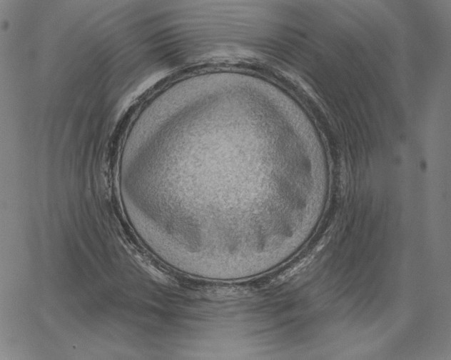 X0000062611018200601181624