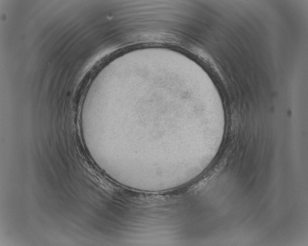 X0000062611019200601181624