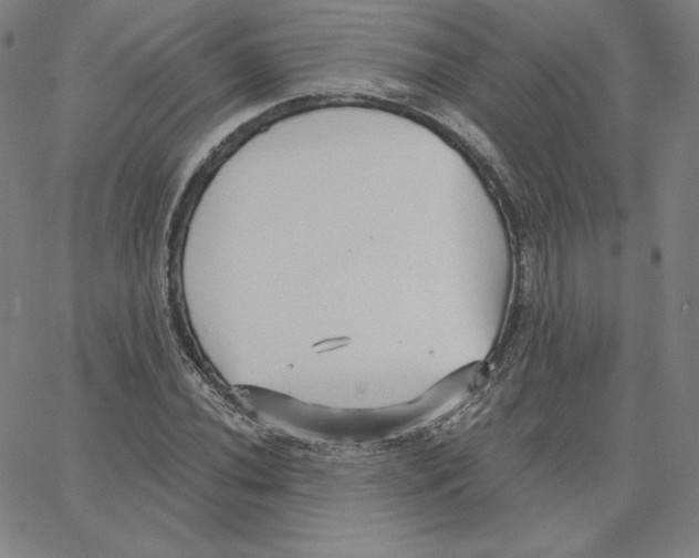 X0000062611020200601181624