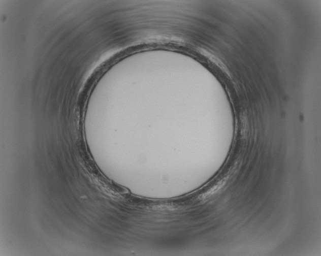 X0000062611021200601181624