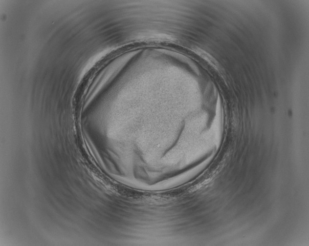 X0000062611022200601181624