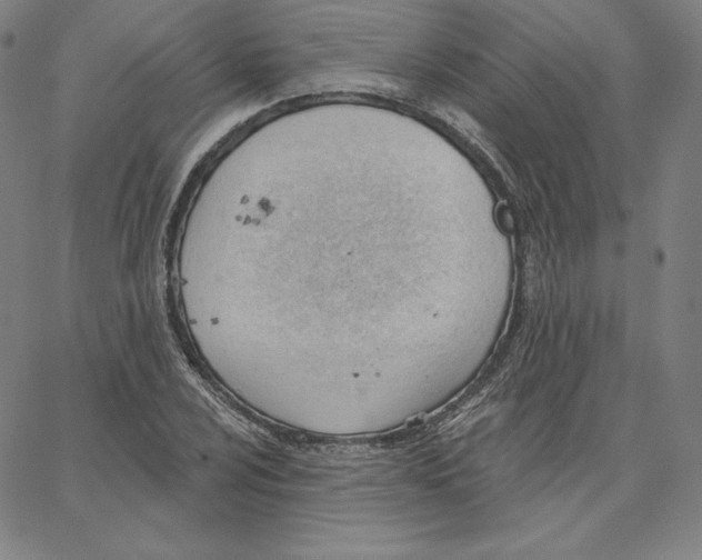 X0000062611024200601181624