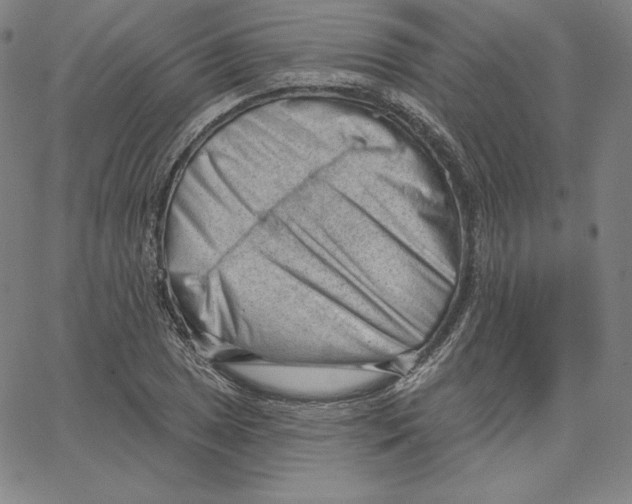 X0000062611025200601181624