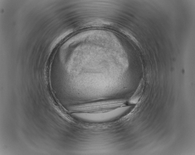 X0000062611026200601181624